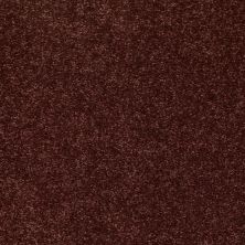 Shaw Floors Value Collections NEWBERN CLASSIC 15′ NET Coffee 55755_E9199