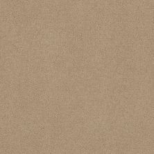 Shaw Floors Home Foundations Gold Traditional Allure 12′ Crisp Linen 00109_HGG67