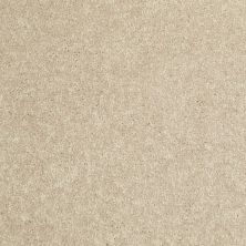 Shaw Floors Home Foundations Gold Traditional Allure 12′ Sand Dollar 00116_HGG67