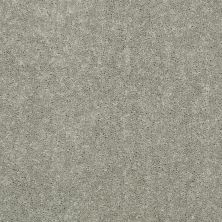 Shaw Floors Value Collections Dyersburg Classic 12 Net Pebble Path 00132_E9206