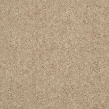 Shaw Floors Value Collections Dyersburg Classic 12 Net Straw Hat 00260_E9206