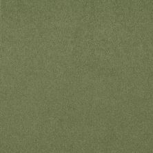 Shaw Floors Dyersburg Classic 12′ Going Green 00330_E0947