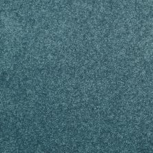 Shaw Floors Value Collections Dyersburg Classic 12 Net Ocean 00430_E9206