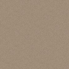 Shaw Floors Value Collections Dyersburg Classic 12 Net Dove 55700_E9206