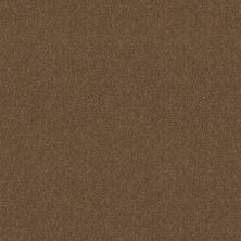 Shaw Floors Queen Knockout II 12′ Sequoia 75720_Q0775