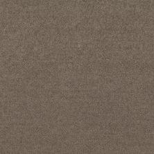 Shaw Floors Dyersburg Classic 12′ Suede 00731_E0947