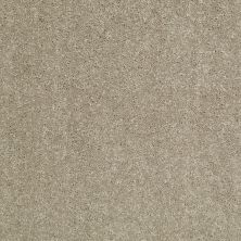 Shaw Floors Value Collections Dyersburg Classic 12 Net Fossil 00761_E9206
