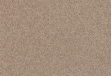 Shaw Floors Home Foundations Gold Traditional Allure 12′ Moccasin 00752_HGG67