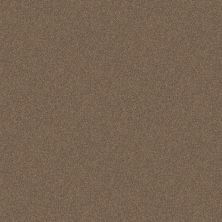 Shaw Floors Value Collections Dyersburg  Net Taupe Mist 55792_E0984