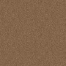 Shaw Floors Value Collections Dyersburg Classic 12 Net Candied Truffle 55750_E9206