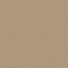 Shaw Floors Value Collections Dyersburg Classic 15′ Net Crisp Linen 00109_E9193