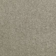 Shaw Floors DYERSBURG CLASSIC 15′ Suede 00731_E0948