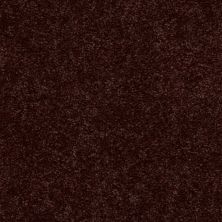 Shaw Floors Dyersburg Classic 15′ Coffee 55755_E0948