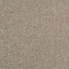 Shaw Floors Home Foundations Gold Meadow Vista 15 Taupe Mist 55792_HGP18