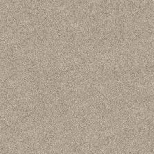 Shaw Floors Caress By Shaw Delicate Distinction Classic I Cliff 0144B_BCC19