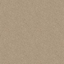 Shaw Floors Caress By Shaw Delicate Distinction Classic I Toasted Grain 0241B_BCC19