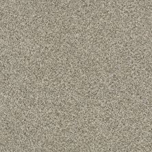 Shaw Floors Caress By Shaw Delicate Distinction Classic I Drizzle 0340B_BCC19