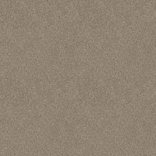 Shaw Floors Caress By Shaw Delicate Distinction Classic I Granite 0741B_BCC19