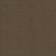 Philadelphia Commercial Core Elements Broadloom Moment In Time Aesthetic 12710_7A7F1