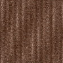 Philadelphia Commercial Core Elements Broadloom Moment In Time Exuberance 12840_7A7F1