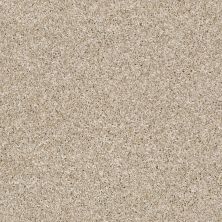 Shaw Floors Value Collections Xy208 Net Creamy Silk 00100_XY208