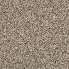 Shaw Floors Multifamily Eclipse Plus Commanding Tweed Weathered 00101_PS806