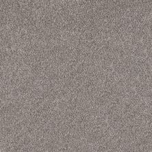 Shaw Builder Flooring Multifamily Eclipse COMMANDING TWEED Oxford 00512_PS806