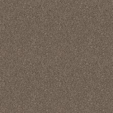 Shaw Floors Value Collections Shake It Up Tweed Net Rocky Trail 00701_E9858