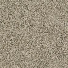 Shaw Floors Value Collections Break Away (t) Net Flax 00112_5E283