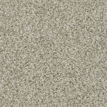 Shaw Floors Value Collections Break Away (t) Net Stepping Stone 00123_5E283