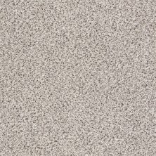 Shaw Floors Anso Colorwall Gold Texture Accents Carrara 00180_EA759