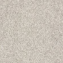 Shaw Floors Costco Wholesale Branded Program INSPIRED TEXTURE ACCENT Artifact 00183_1CW17