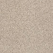 Shaw Floors Costco Wholesale Branded Program INSPIRED TEXTURE ACCENT Bistro 00184_1CW17