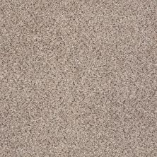 Shaw Floors Anso Colorwall Gold Texture Accents Art District 00186_EA759