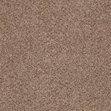 Shaw Floors Foundations Take The Floor Accent I Baltic Brown 00770_5E011