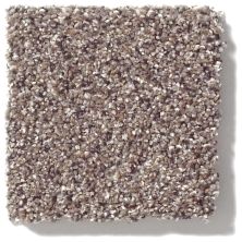 Shaw Floors Costco Wholesale Branded Program INSPIRED TEXTURE ACCENT Granite 00781_1CW17