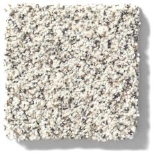 Shaw Floors Anso Colorwall Platinum Texture Accents Artifact 00183_EA760