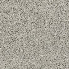 Shaw Floors Eco Choice SIMPLE COMFORTS ACCENT II Online Date (A) 188A_7B5S8