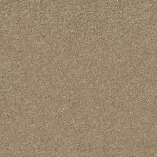 Shaw Floors Value Collections SHAKE IT UP SOLID NET Desert Sand 00210_E9857