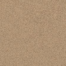 Shaw Floors Knight Time Bridle Leather 00270_E9887