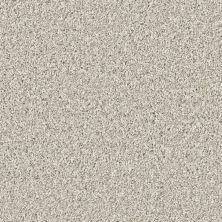 Shaw Builder Flooring Multifamily Eclipse COMMANDING TONAL Champagne Toast 00100_PS808