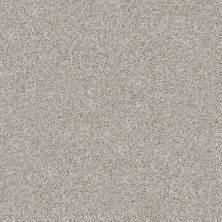 Shaw Builder Flooring Multifamily Eclipse COMMANDING TONAL Baltic Stone 00101_PS808