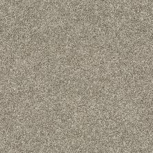 Shaw Floors Value Collections Shake It Up Tonal Net Owl 00121_E9859