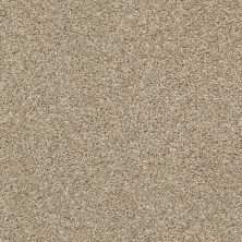 Shaw Floors Value Collections Shake It Up Tonal Net Croissant 00220_E9859