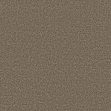 Shaw Floors Value Collections Shake It Up Tonal Net Roasted Coffee 00721_E9859