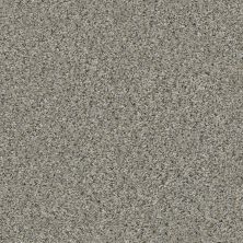 Shaw Floors Carpetland Value GEARED UP I Rhino 00501_7B7Q4