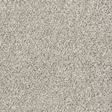 Shaw Floors Value Collections All Set II Net Smoky Gray 00500_E9895