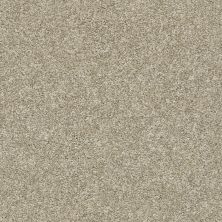 Shaw Floors Value Collections Frappe I Latte 00700_E9912