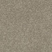 Shaw Floors Carpetland Value ENVELOPED I Clay 00701_7B7Q2