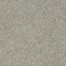 Shaw Floors Value Collections Frappe II London Fog 00501_E9913